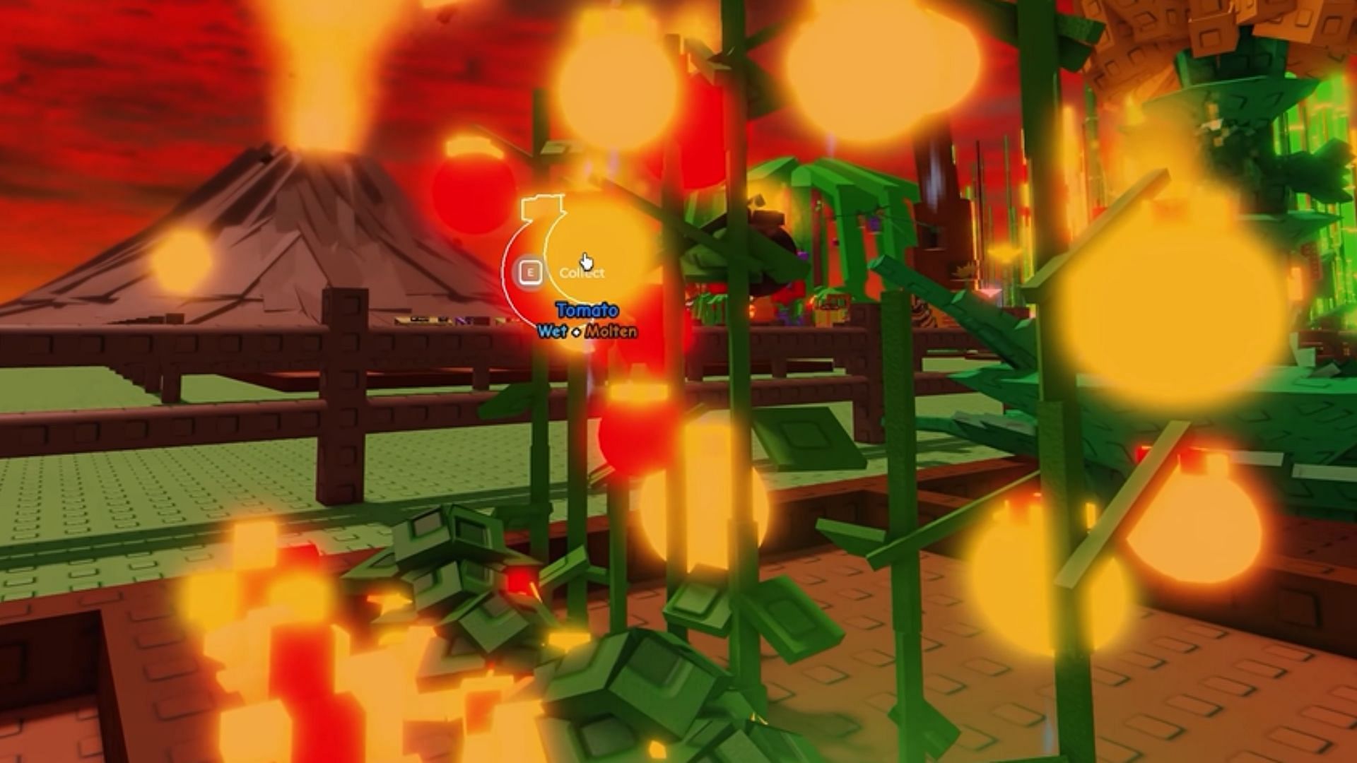 The Molten Mutation can affect any crop (Image via Roblox)